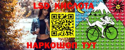 прущие грибы Жуковский